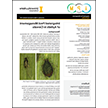 Integrated Pest Management of Aphids in Cereals