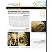 Integrated Pest Management of Fusarium Dry Rot in Potato