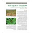 Rhizoctonia on Sugar Beet: Importance, Identification, and Control in the Northwest