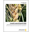 2021 Small Grains Report: Southcentral and Southeast Idaho Cereals Research & Extension Program